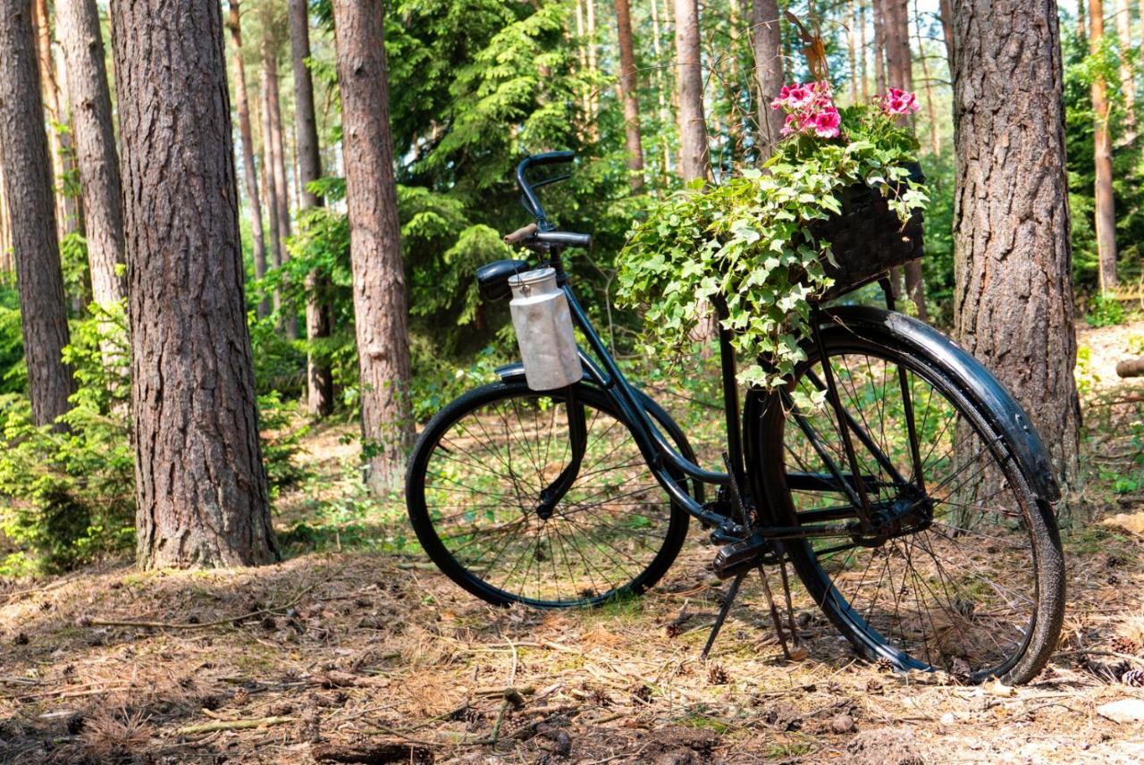 Waldhaus Hilde Villa Suderburg ภายนอก รูปภาพ